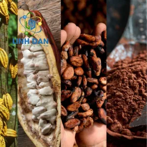 Bột Cacao AC01 (Indonesia)