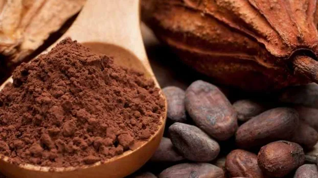 Bột cacao nguyên chất bán sỉ toàn quốc