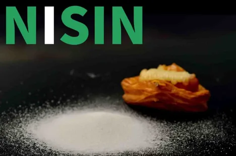 Công ty cung cấp NISINZ toàn quốc