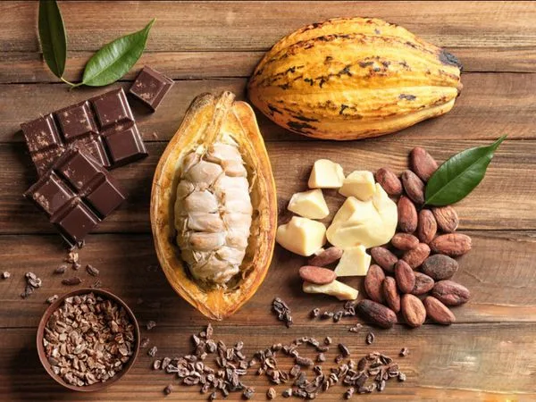 Mua bột cacao nguyên chất chất lượng cao