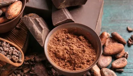 Mua bột cacao nguyên chất ở đâu