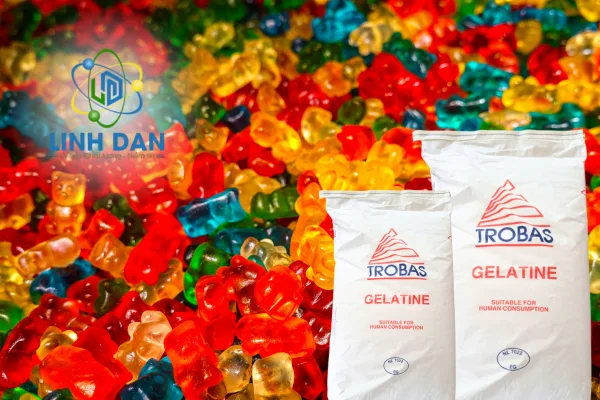Gelatin giá sỉ cho doanh nghiệp sản xuất – Giải pháp phụ gia thực phẩm an toàn và hiệu quả trong ngành chế biến hiện đại