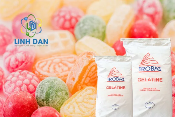 Nhà cung cấp Gelatin uy tín tại Việt Nam