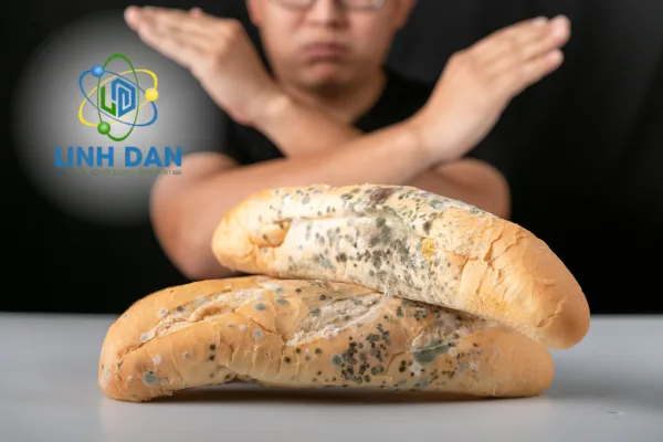 PHỤ GIA CHỐNG MỐC THỰC PHẨM