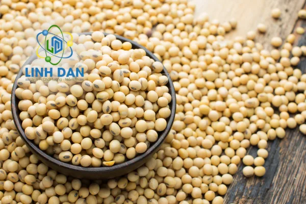 Phụ gia Isolated Soy Protein cho sữa và bánh