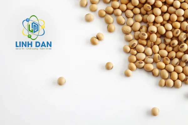 So sánh Isolated Soy Protein và Concentrate