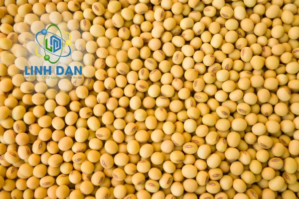 Top 10 công ty buôn bán SOLATED SOY PROTEIN giá tốt