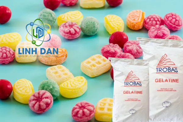 Đại lý phân phối Gelatin Trobas uy tín