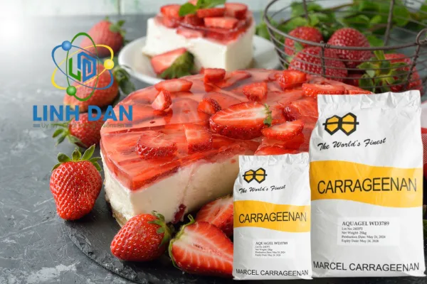 Top 10 công ty buôn bán Carrageenan giá rẻ