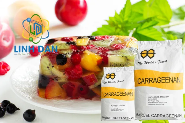 Top 5 đại lý cung cấp Carrageenan giá tốt