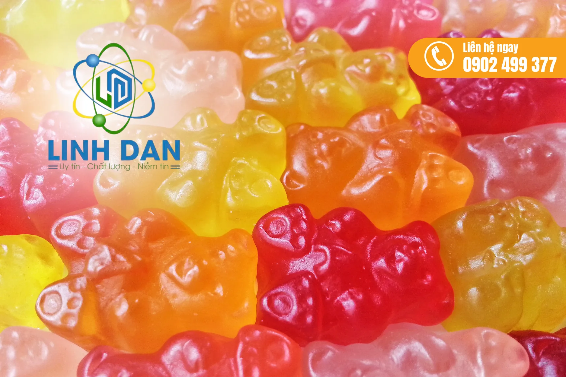 Gelatin là gì và mua ở đâu?