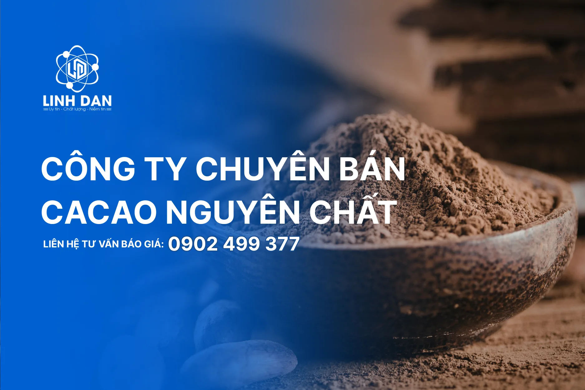 Công Ty Chuyên Bán Cacao Nguyên Chất