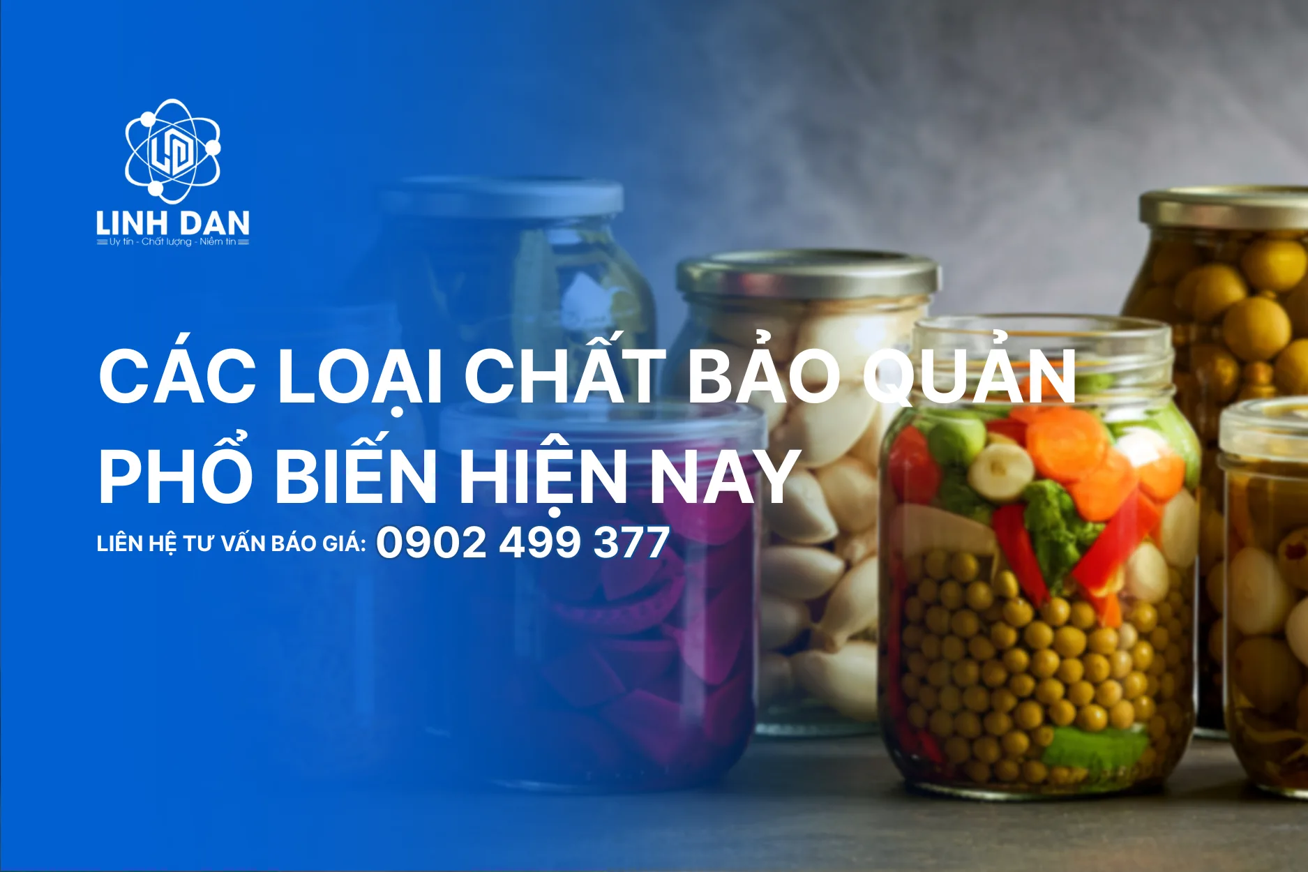 Các loại chất bảo quản phổ biến hiện nay – Phân loại, ứng dụng và cách lựa chọn an toàn